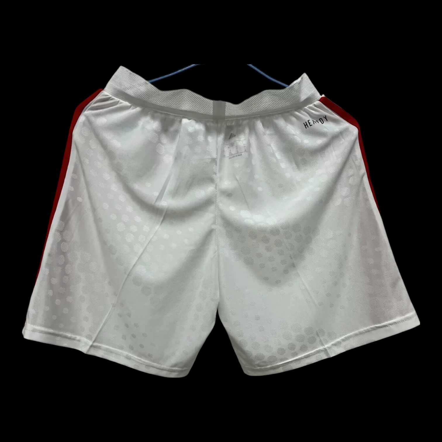 Vue arrière Benfica Short Domicile 2526